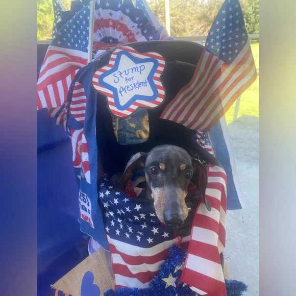 🧡MORE ABOUT OUR NONPROFIT🧡THANK YOU FOR YOUR SUPPORT! - Picture 2 of 16